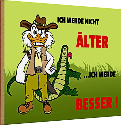 Produktbild von Holzschild Spruch 30x20cm Werde nicht älter werde besser