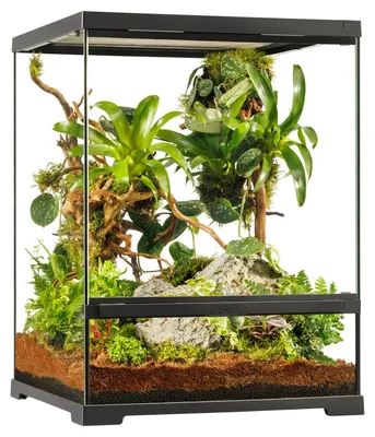 Immagine prodotto di Terrario Exo Terra EX - Pro Terrarium™ Small Tall 45 x 45 x 60 cm senza decorazioni, substrato e sistema di illuminazione