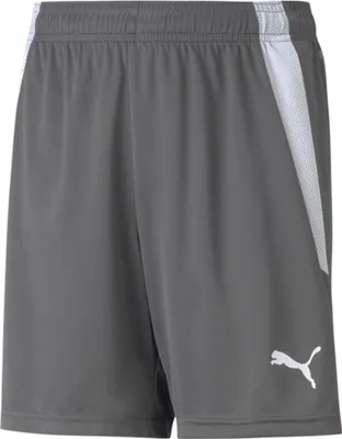 Immagine prodotto di Pantaloni Puma Teamliga 70493113