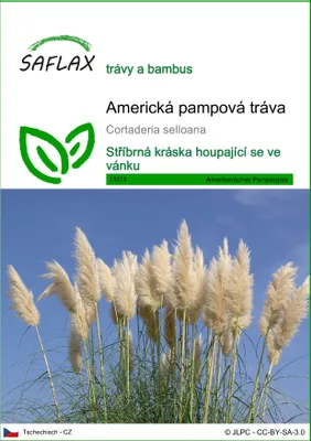 Obrázek produktu pro SAFLAX - Americká pampová tráva - Cortaderia selloana - 200 Semena