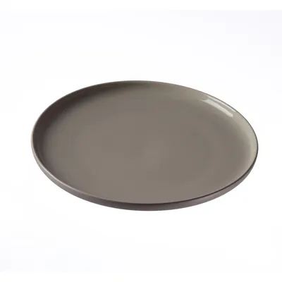 A single flat plate shown from a slightly elevated diagonal angle against a white background.