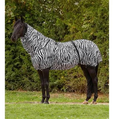 Immagine prodotto di Waldhausen Coperta per eczema Zebra Basic