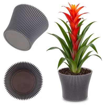 Imagen del producto de KADAX - Maceta, soporte para plantas, cubierta para plantas, plástico, gris, 19 cm
