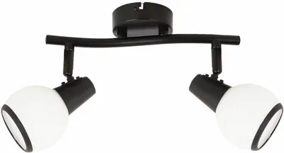 Produktbild von Deckenleuchte Loris, schwarz, 2xE14, 40W, Metall, Abmessungen: 14x25x12 cm, IP20, Marke: Reality