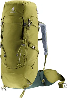 Produktbild von DEUTER Aircontact Core 40+10 cactus-ivy -
