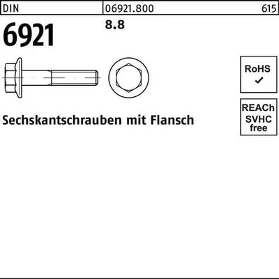 Produktbild von Reyher  6kt.schr. mit Flansch DIN 6921 8.8 M 10 x 40 (100 Stück)