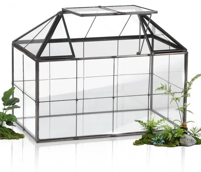 Produktbild von Mini-Gewächshaus 23,3 x 13,6 x 18 cm, Glas, für Sukkulenten