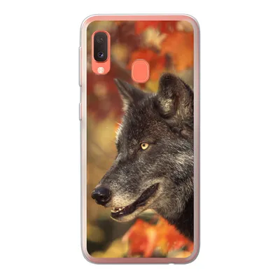 Produktbild von MuchoWow® Handyhülle Schutzhülle Hülle für Samsung Galaxy A20e Wolf - Nahaufnahme - Blätter Silikon Softcase Handy Hülle - Abdeckung