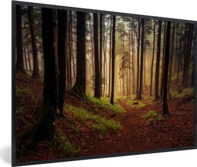 Produktbild von MuchoWow® Gerahmtes Poster Bäume - Natur - Wald 90x60 cm - Poster mit Schwarzem Bilderrahmen Wandposter Rahmen Foto Bilder - Fotorahmen - Foto-Plakat