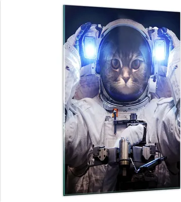 Produktbild von Bilder auf glas - Einteilig - Kosmonaut Katze - 80x120cm - Glasbilder - Wandbilder - Bilder - zum Aufhängen bereit - Wanddekoration aus Glas - Glas Bilder - Wandbild auf Glas - GPA80x120-3734