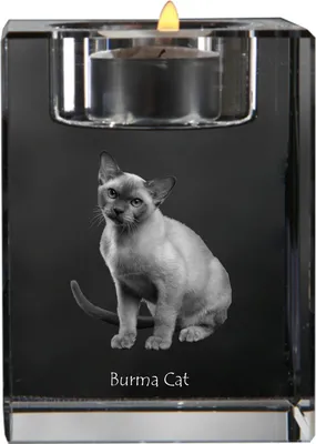 Produktbild von Burmesische Katze Kristallkerzenständer mit Katze Art-Dog