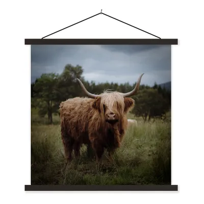 Produktbild von MuchoWow® Textilposter Schottischer Highlander - Tiere - Kuh 40x40 cm mit schwarzem Rahmen - Fotos