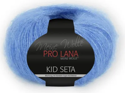 Produktbild von Pro Lana Kid Seta Uni 25g (51)