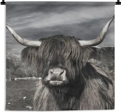 Produktbild von MuchoWow® Wandteppich Wandbehang Schottisches Hochlandrind - Tiere - Hörner 120x120 cm Tapisserie Dekoration Wandtuch - Modern - Baumwollgewebe
