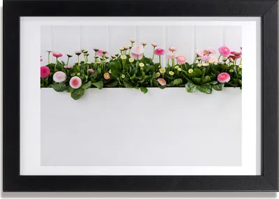 Produktbild von Bild 30x20 MDF-Rahmen, Wandkunst rosa Gänseblümchen