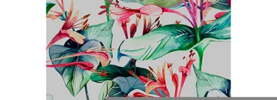 Produktbild von Coloray Fototapete 152x104 cm Latextapete Magicstick - Blumen