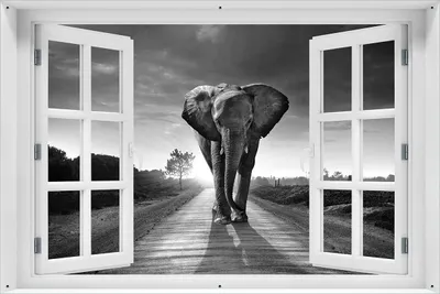 Produktbild von Wallario Outdoor-Poster für Garten oder Balkon 61 x 91,50 cm: Elefant bei Sonnenaufgang in Afrika schwarzweiß