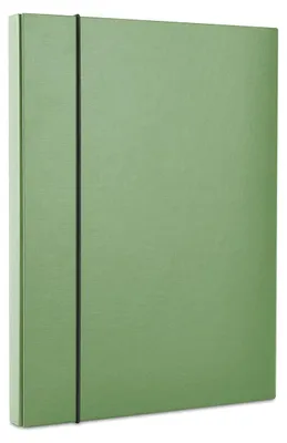 Immagine prodotto di Scatola con elastico da 40 mm, prodotto per l'ufficio, colore verde