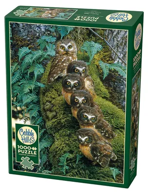 Produktbild von Cobble Hill Family Tree, 1000 Stück(e)