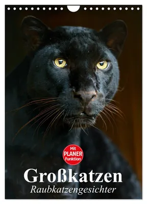 Produktbild von Großkatzen. Raubkatzengesichter (Wandkalender 2027 DIN A4 hoch), CALVENDO Monatskalender