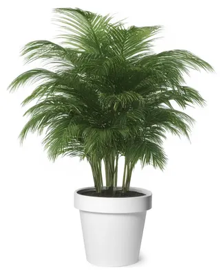 Produktbild von Mega Collections Pflanzentopf/Blumentopf - Kunststoff - weis - D40 cm