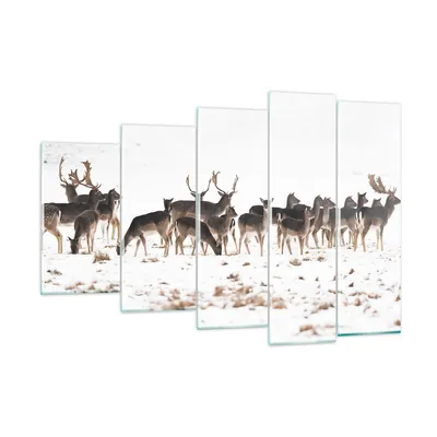 Produktbild von Bilder auf glas - Hirsch Winter Tierwelt Landschaft - 150x100cm - Glasbilder - Wandbilder - Kunstdruck - Wanddekoration aus Glas - Glas Bilder - Wandbild auf Glas - GEG150x100-3144