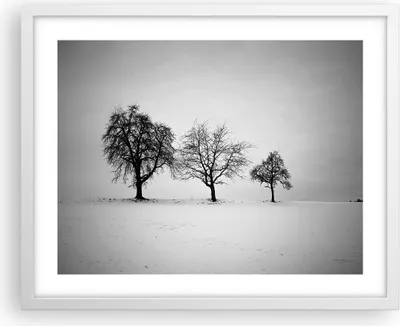 Produktbild von Gerahmtes Poster - Weißer Rahmen - Winter Bäume Schnee - 50x40 cm - Wand Bild - Wanddeko - Wandbilder - Kunstposter - Wandposter - Bilderrahmen - Bilder - Kunstdruck - Wanddekoration - P2WAA50x40-4958