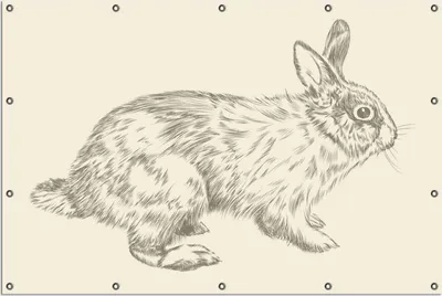 Produktbild von Wallario Outdoor-Poster für Garten oder Balkon, Motiv Hase als illustrierte Bleistiftzeichnung, in ca. 120 x 180 cm