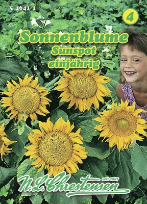 Produktbild von Sonnenblume Sunspot | Sonnenblumensamen von N.L. Chrestensen