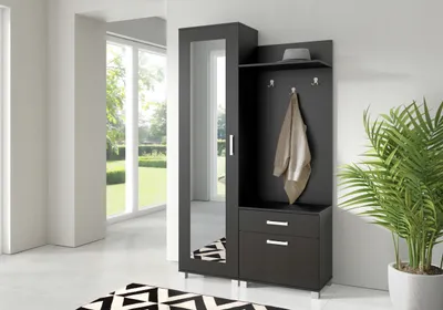 Obrázok produktu pre Šatníková skriňa, predsieňová skriňa 108 x 190 x 40,5 cm, kompaktná šatníková skriňa s dverami, zrkadlom, policami, botníkom, predsieňová skriňa v čiernej farbe