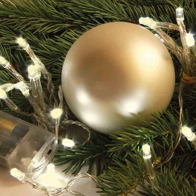 Image de Micro-chaîne de LEDs avec minuterie 20 intérieur blanc chaud intérieur, pour 3AA