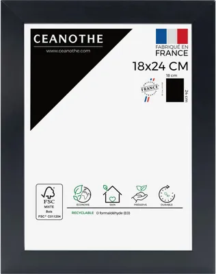 Image de Cadre photo Ceanothe Eternel 20x30 cm noir