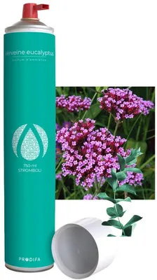 Prodifa Stromboli 750 ml Raumduftspray mit frische Eisenkraut und Eukalyptus Note