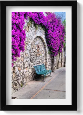 Produktbild von Straße mit Blumen in Capri, Italien– Wandbild mit Rahmen – Gerahmtes Bild  – Wanddekoration – 20x30 cm – Schwarz