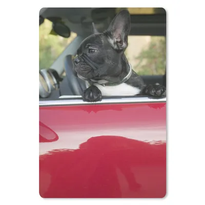 Obrázek produktu pro Podložka pod myš - Francouzský buldoček - auto - červené - 18x27cm - Podložka pod myš