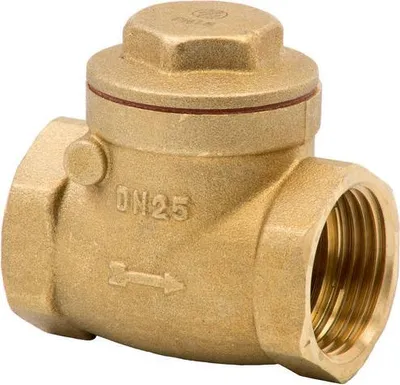 Image de Clapet anti-retour ARCO STOP Vitaq GW 1" 190205