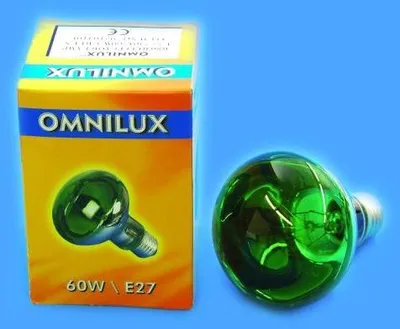 Immagine prodotto di Omnilux R80 230V/60W E-27, verde
