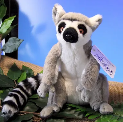 Vaginada porno sperma