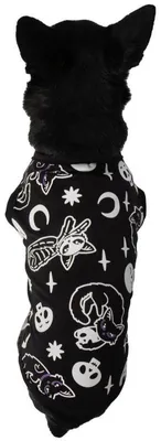 Produktbild von Killstar Hundetop - Purr Off L
