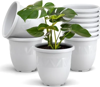 A stack of white plastic plant pots with a monstera plant in the foreground pot.