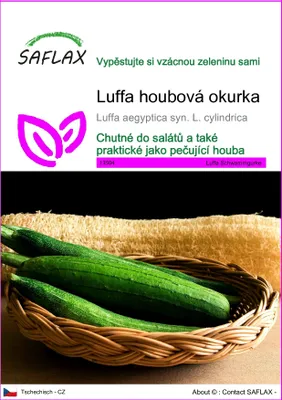 Obrázek produktu pro SAFLAX - Luffa houbová okurka - Luffa aegyptica syn. L. cylindrica - 10 Semena