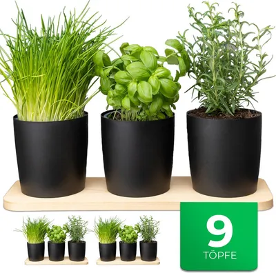 Produktbild von Novaliv Stilvolle Kräuterstation 9er Set mit Holzunterlage - Kräutertopf für jede Fensterbank, Für frische Küchenkräuter, Kräutergarten für die küche, Kräuterbeet indoor, Blumenkasten, Pflanzentopf