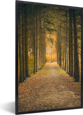 Produktbild von MuchoWow® Gerahmtes Poster Pfad - Bäume - Wald 60x90 cm - Poster mit Schwarzem Bilderrahmen Wandposter Rahmen Foto Bilder - Kunst
