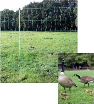 Produktbild von Geflügelnetz Weidezaun Euro Netz Geflügel 112/2 25 m Doppelspitze