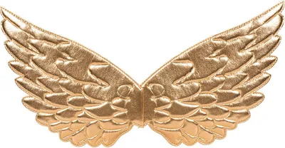 Produktbild von Goldene Engelsflügel "Aurelia" - 22 x 43 cm
