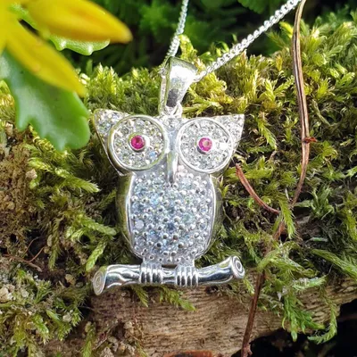 Produktbild von Eulen Kette Silber 925: Eule Anhänger mit Zirkonia Anhänger + 45 cm Kette