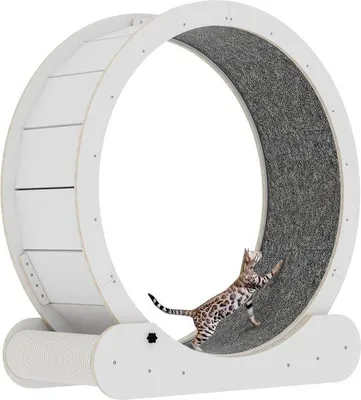 Productafbeelding van Famanu kattenwiel 2-in-1 met krabpalen - Medium/Groot/Extra groot