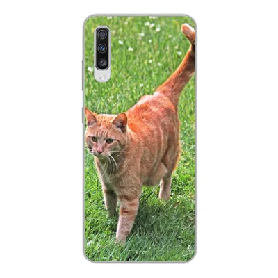 Produktbild von MuchoWow® Handyhülle Schutzhülle Hülle für Samsung Galaxy A70 Katze - Rot - Katze - Mädchen - Kinder - Jungen - Kind Silikon Softcase Handy Hülle - Schutzhaube