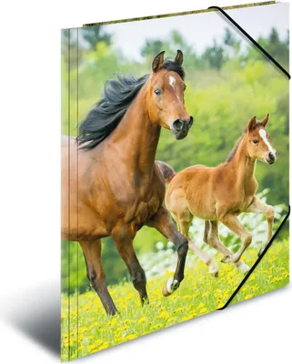Produktbild von HERMA Sammelmappe A3 Pferde Polypropylen