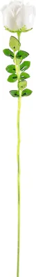 Zdjęcie produktu dla EUROPALMS kryształowa róża, sztuczny kwiat, biały, 81cm 12x (82600208)